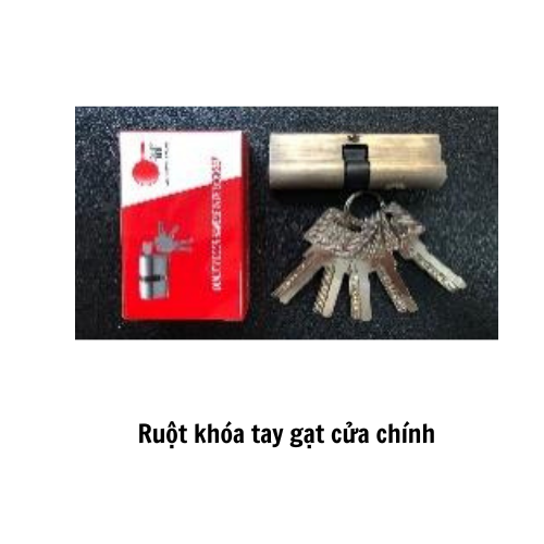 Ruột khóa tay gạt cửa chính