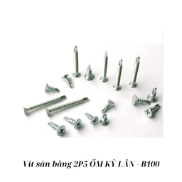 [KLVSB25O] Vít sàn bằng 2P5 ỐM KỲ LÂN - B100